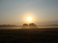 Шкарівка з panoramio.com
