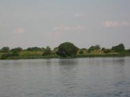 Сілець з panoramio.com