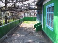 Петрівка з panoramio.com