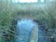 Малая Деревичка - Последние фото