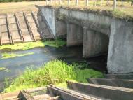 Chepeliv - Latest photos