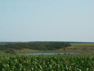 Коханівка - Останні фото