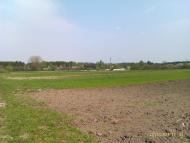 Облапи з panoramio.com