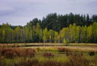 Заляддя з panoramio.com