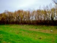 Поправка з panoramio.com