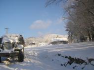 Липовець з panoramio.com