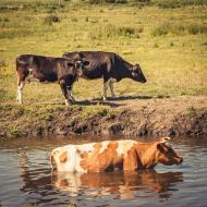 Майдан з panoramio.com