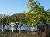 Лупареве з panoramio.com