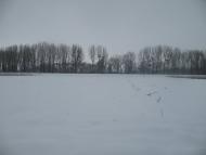 Верхні Ремети з panoramio.com