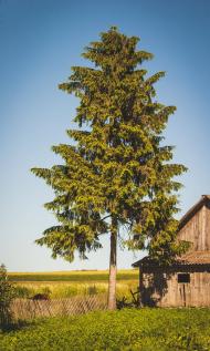 Майдан з panoramio.com