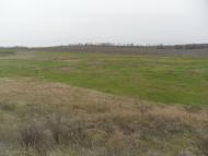 Чумак - Последние фото