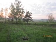 Забуччя з panoramio.com