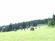 Сухий Потік з panoramio.com