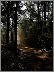 Коженики з panoramio.com