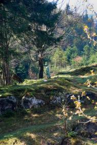 Черетів з panoramio.com