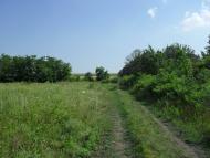 Луково - Последние фото