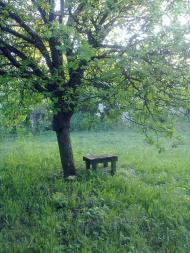 Черемошне з panoramio.com