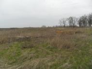 Чумак - Последние фото