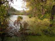 Подвірки з panoramio.com