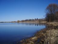 Рогізне з panoramio.com