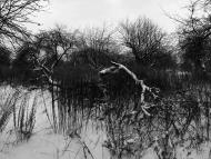 Немішаєве з panoramio.com