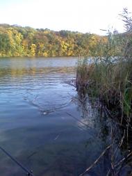 Всесвятське з panoramio.com