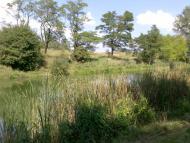 Сілець - Останні фото