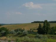 МЕЖОВІ СТОВПИ