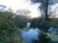 Рай на земле