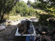 Донецьк-Моспине;війна.