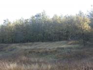 Рай на земле