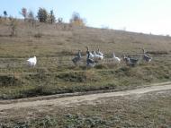 Рай на земле