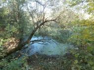 Рай на земле