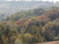 Рай на земле