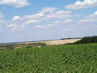 МЕЖОВІ СТОВПИ