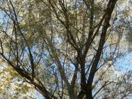 Рай на земле