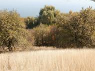 Рай на земле