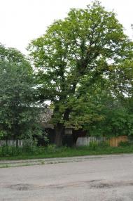 Соловіївка