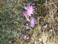 Рай на земле