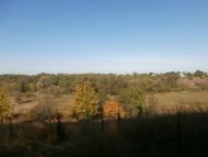 Рай на земле