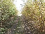 Рай на земле