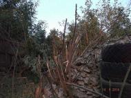 Донецьк-Моспине;війна.