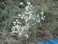 Рай на земле