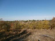 Рай на земле