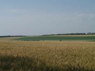 МЕЖОВІ СТОВПИ