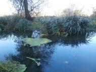 Рай на земле