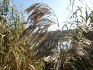 Рай на земле