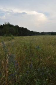 Соловіївка