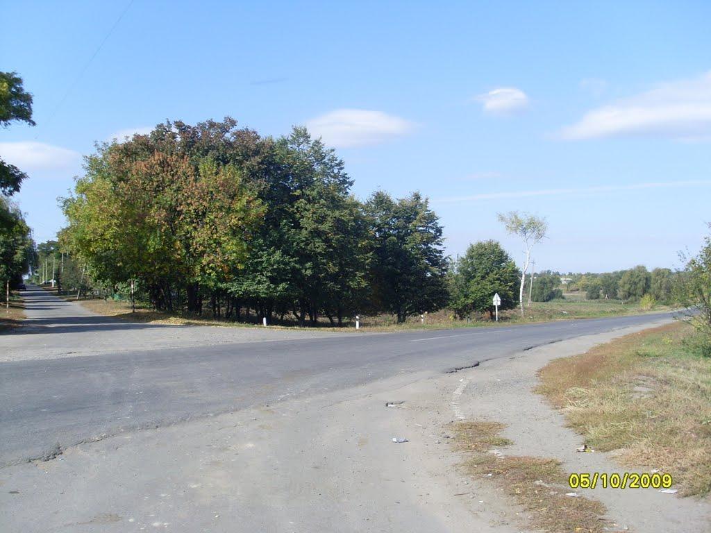 Соколівка з panoramio.com - Соколівка