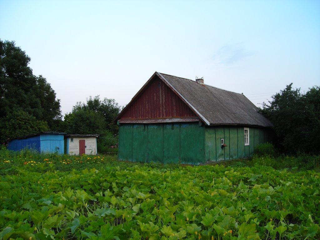Великий Браталів з panoramio.com - Великий Браталів